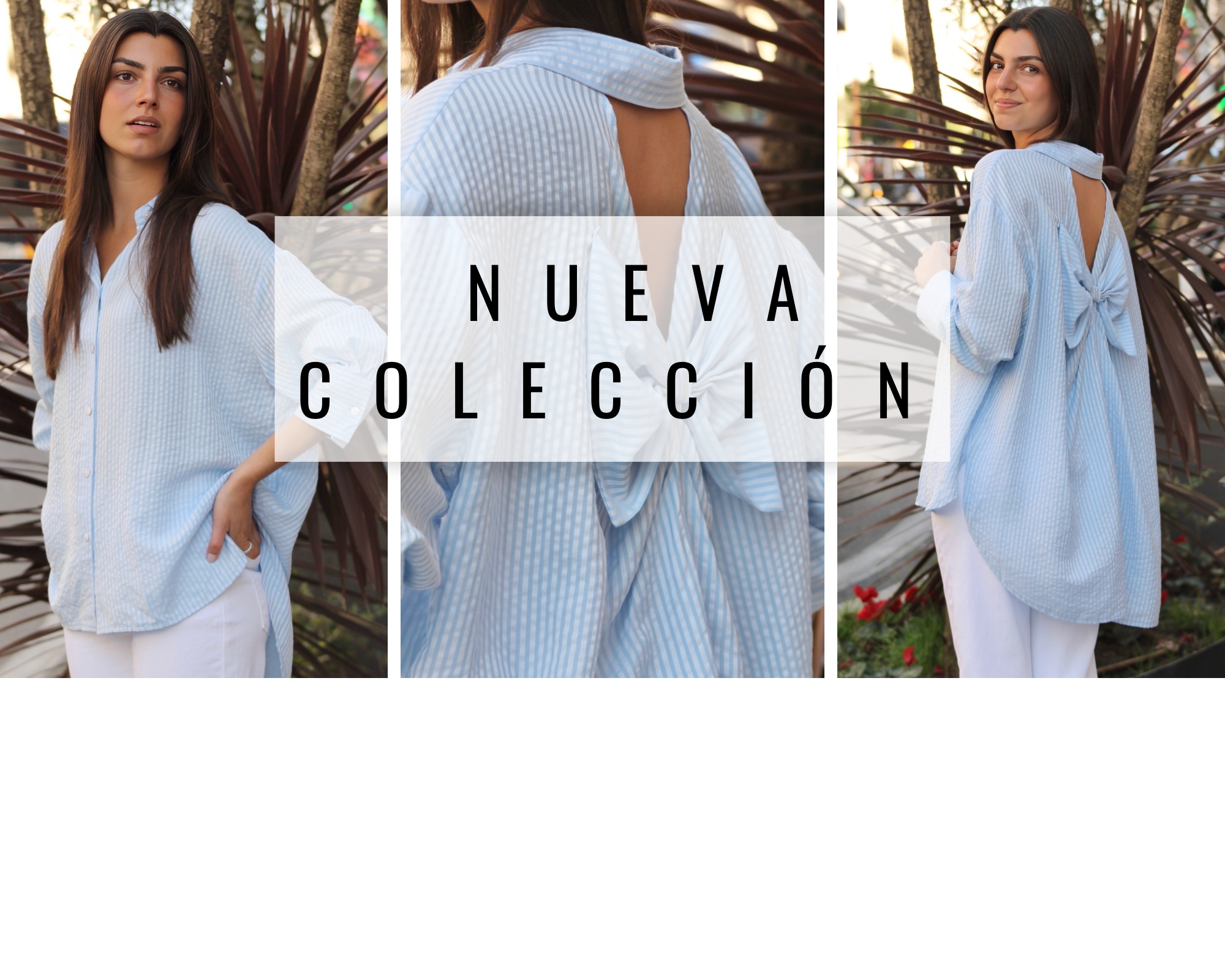 NOVEDADES 